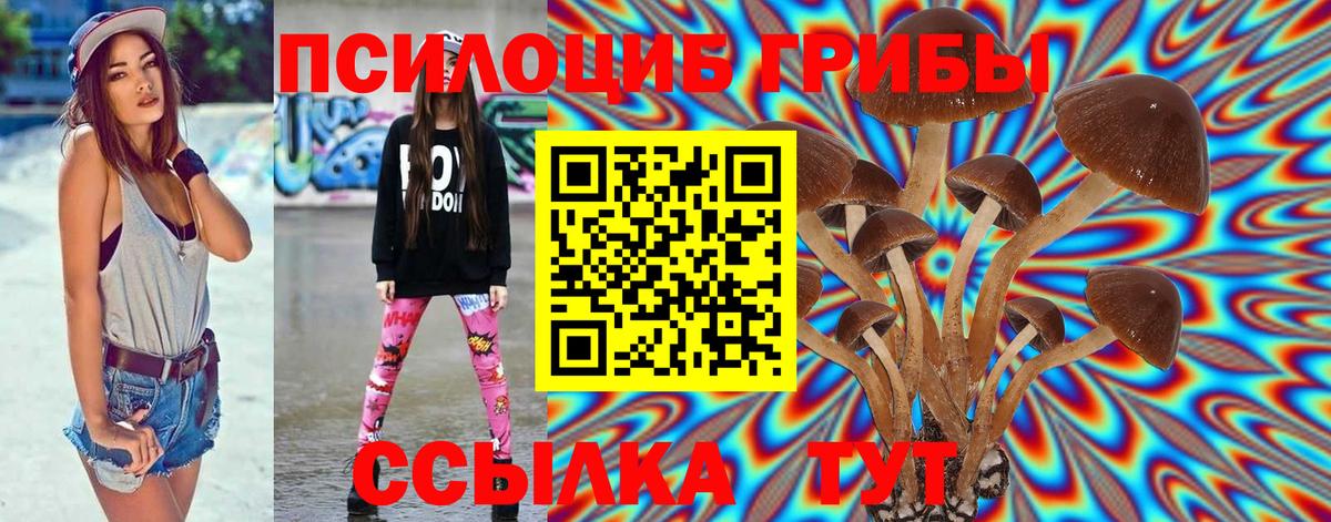 Галлюциногенные грибы GOLDEN TEACHER Мыски