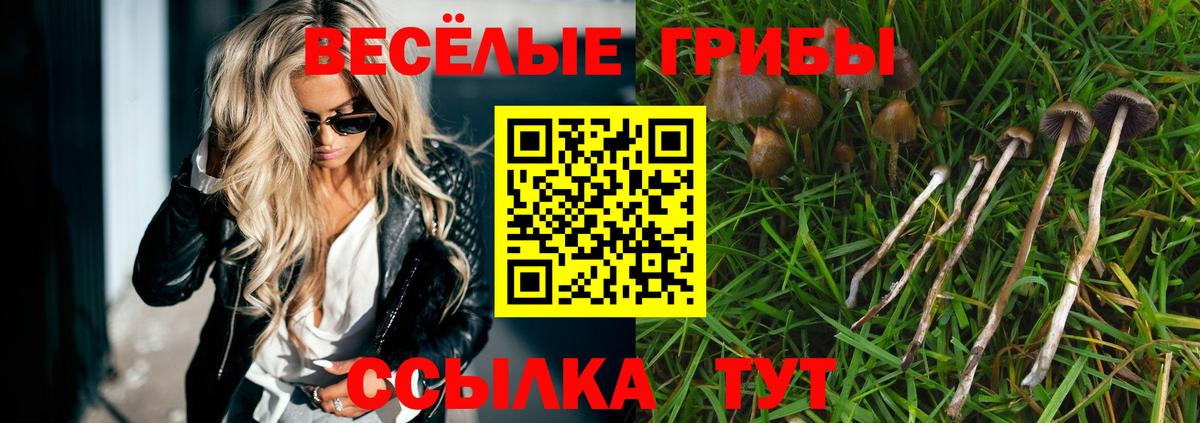 Галлюциногенные грибы Magic Shrooms  закладки  Мыски  Вход с VPN 